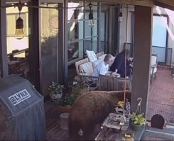 Ага, михе прям глаза пялится