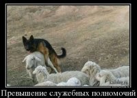 Почти служебный роман