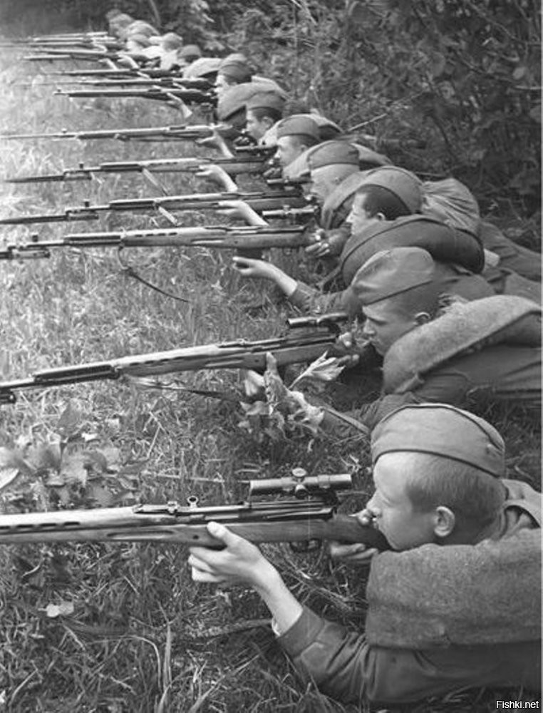 Один снайпер на фото радует глаз советского человека. Несколько снайперов на фото - вообще просто счастье. А как посмотреть на них в реальной жизни, а не на фото?