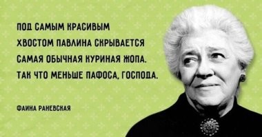 Панда лишила павлина части оперения