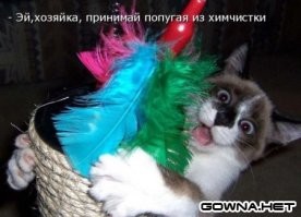 Милые уборщики