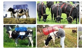 Сбор газа. 
Потом можно машину с ГБО заправлять.