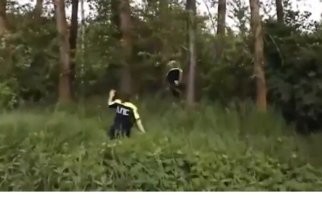 Ну... Судя по видео, задержал, всё же сотрудник. 
А сотрудница сзади скакала по буеракам. :)