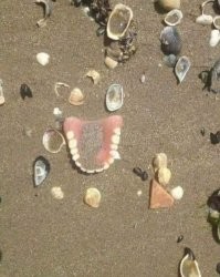 30 самых странных находок на пляже