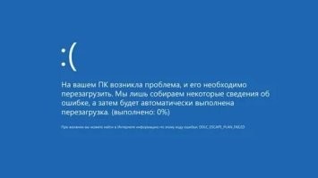 Девушка случайно "сломала" своего кота