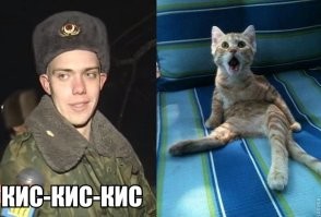 Девушка случайно "сломала" своего кота