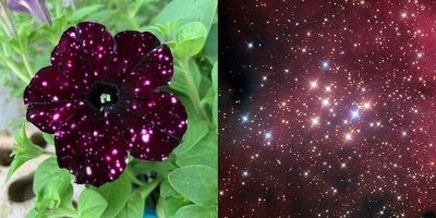 Не на галактику, а на рассеянное звездное скопление.