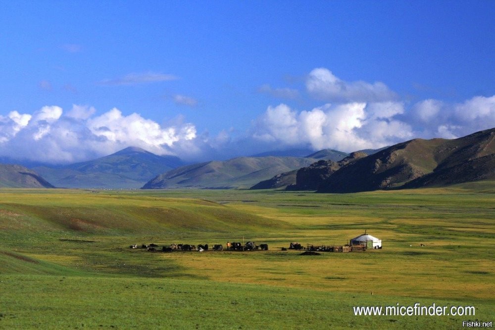 Так это же Монголия!