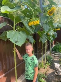 Ну у меня почти такие же выросли)