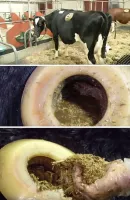 реальность даже жестче....