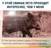 Ну это классика