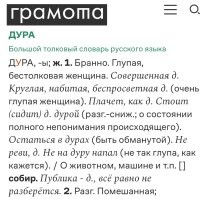 Тут написано : Бранно, и. к бранить или ругать.  Критика, короче.  Не нашел про хамство и оскорбления.    
Может суд найдет, где по другому записано.   21 век, не19, вдруг всё поменялось.