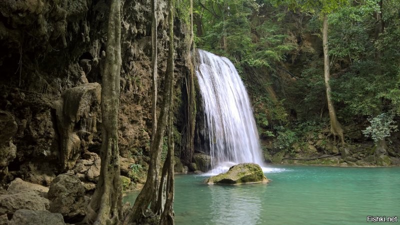 Вот красот немножко. По порядку: Доминикана, Бали, Камбоджа, Киргизия, Таиланд, Танзания. Ожидания совпали с реальностью...