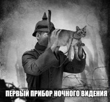 Глаза Недимона