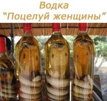 Политический мониторинг (370)