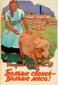 Российских школьников пригласили в северокорейский лагерь