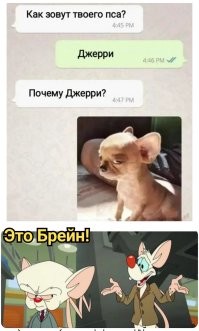 Вечерний улыбатор
