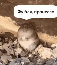 Просто гифки, всякие и&nbsp;разные