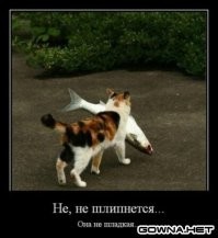 Мамин хищник