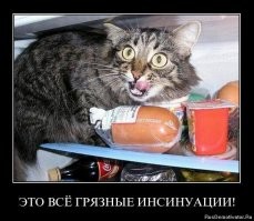 Пушистые клиенты ждут, когда их обслужат