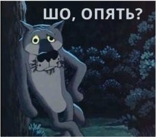 Пара нашла в стене секретный тайник предыдущих владельцев дома