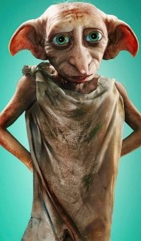 Эк, Добби зарос...