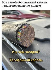 14 случаев, когда люди сталкивались с редчайшими ситуациями и не знали, что и думать