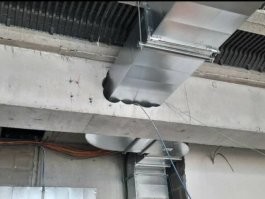 Суровые будни жилищного инспектора: 25 поразительных находок