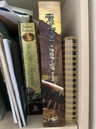 пока сын был совсем маленьким, покупал ему такие. да, реально потрясающие книги.