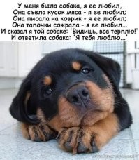 Политический мониторинг (372)