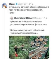 Какие сильные девушки. Ведро грибов весит 5-7 кг., а у них, аж 20 штук. И да, что о них подумали окружающие, когда они пошли по грибы с 20-ю вёдрами и без штанов?