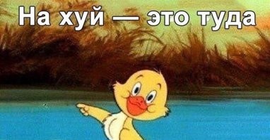 Сотрудницу полиции уволили одним днём за ролик о своей зарплате