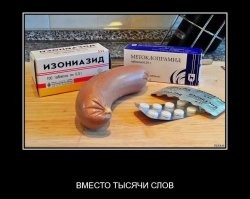 В Новосибирске собака напала на ребёнка, который ехал на самокате