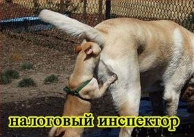 Намешалось