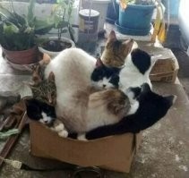 Скрины из соцсетей&nbsp;&nbsp;&nbsp;&nbsp;&nbsp;&nbsp;&nbsp;&nbsp;&nbsp;&nbsp;&nbsp;&nbsp;