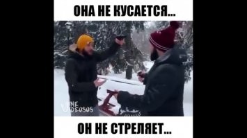 В столичном Кунцево мужчина выгуливает пуму в парке и считает его «безобидным котом»