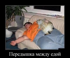 Милые и вечно голодные существа