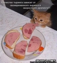 Милые и вечно голодные существа