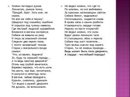 В Китае сняли, как брошенный щенок пытается догнать хозяина