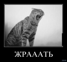 Милые и вечно голодные существа