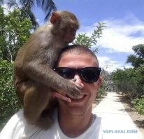 Хорошо, что не так: