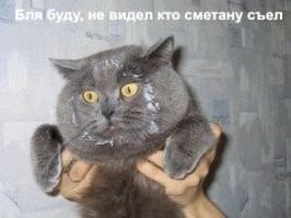 Не ищите здесь смысл. Здесь в основном маразм