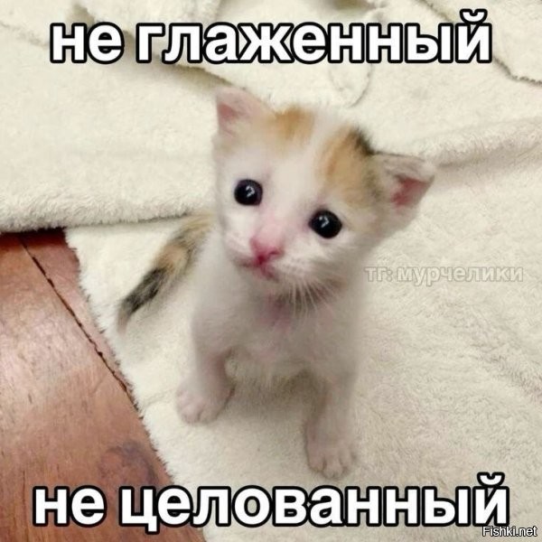 -ная. Это кошка)