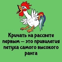 Политический мониторинг (374)