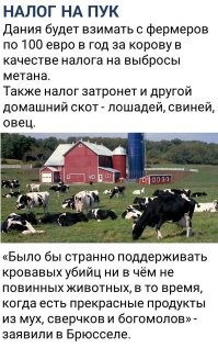 А как же штрафы, или коням можно?