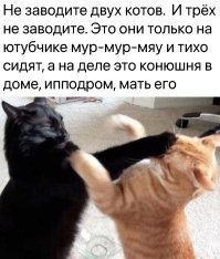 Скрины из соцсетей&nbsp;&nbsp;&nbsp;&nbsp;&nbsp;&nbsp;&nbsp;&nbsp;&nbsp;&nbsp;&nbsp;&nbsp;