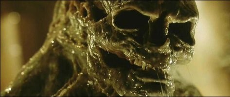 нихрена себе грызун....