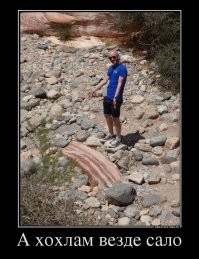 Политический мониторинг (375)