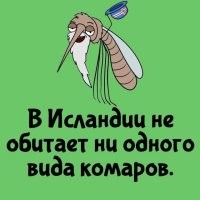 1. В Исландии ЕСТЬ комары:
- Первые  - это комары звонцы (специально ссылка из исландской вики)
- Вторые - bitmý (simulium vittatum) - крупнейший род двукрылых из семейства мошек, которые размножаются в водоёмах, так как для кладки яиц самка опускается под воду в быстро текущие ручьи и даже водопады и, как известно, кусают как людей, так и животных. Компонент гнуса.
А так вообще комары обитают даже в Антарктиде.