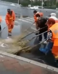 Так они эту лужу вокруг клумбы весь день и гоняют..